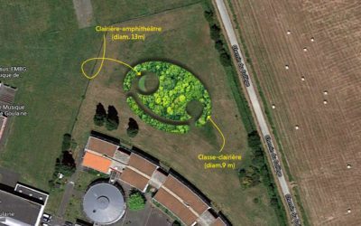 MiniBigForest : une forêt urbaine participative au cœur du collège de Goulaine
