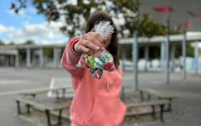 Vente de bonbons au collège de Goulaine !